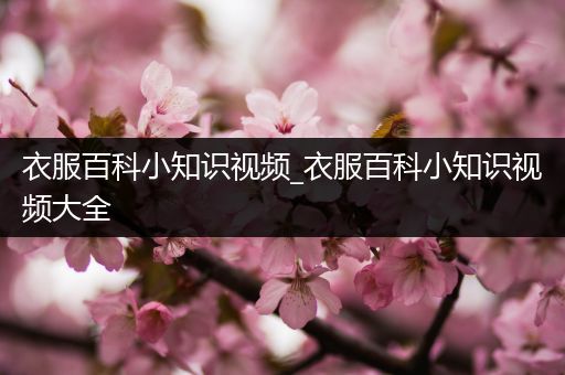 衣服百科小知识视频_衣服百科小知识视频大全