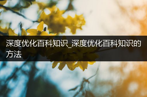 深度优化百科知识_深度优化百科知识的方法