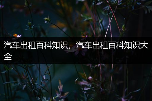 汽车出租百科知识，汽车出租百科知识大全
