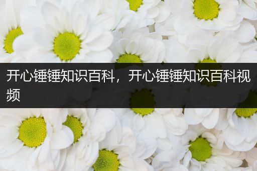 开心锤锤知识百科，开心锤锤知识百科视频