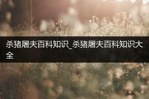 杀猪屠夫百科知识_杀猪屠夫百科知识大全