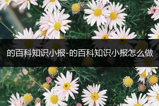 的百科知识小报-的百科知识小报怎么做
