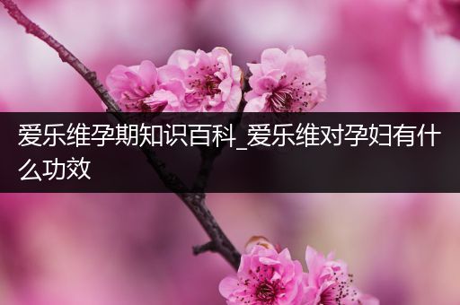 爱乐维孕期知识百科_爱乐维对孕妇有什么功效