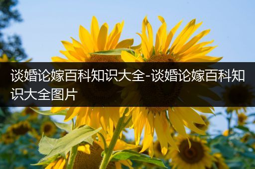 谈婚论嫁百科知识大全-谈婚论嫁百科知识大全图片