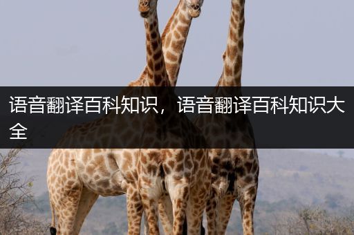 语音翻译百科知识，语音翻译百科知识大全