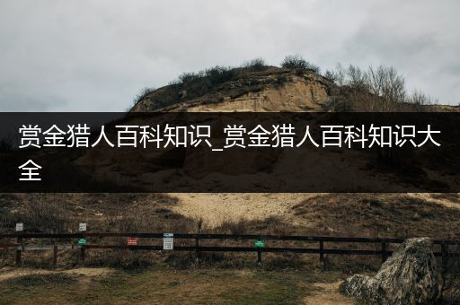 赏金猎人百科知识_赏金猎人百科知识大全