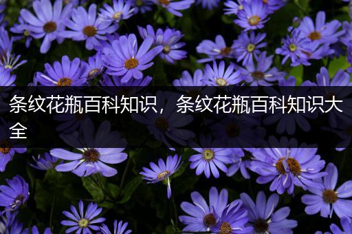 条纹花瓶百科知识，条纹花瓶百科知识大全
