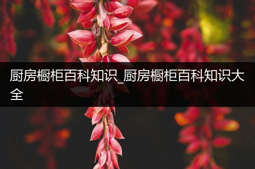 厨房橱柜百科知识_厨房橱柜百科知识大全