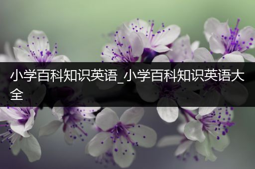 小学百科知识英语_小学百科知识英语大全