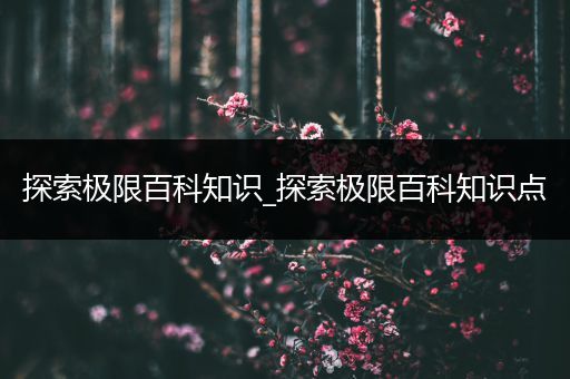 探索极限百科知识_探索极限百科知识点