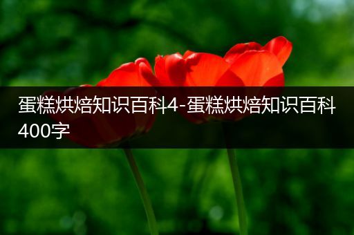 蛋糕烘焙知识百科4-蛋糕烘焙知识百科400字