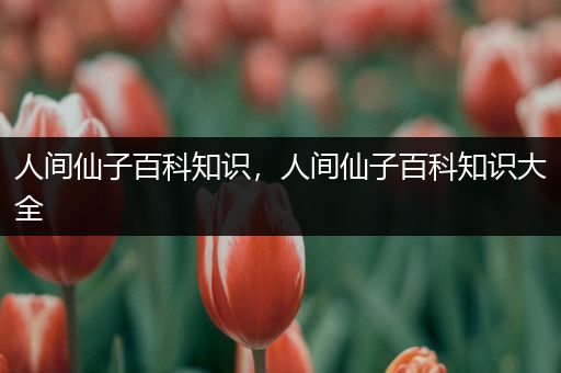 人间仙子百科知识，人间仙子百科知识大全