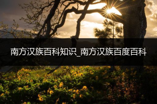 南方汉族百科知识_南方汉族百度百科