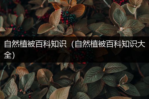 自然植被百科知识（自然植被百科知识大全）