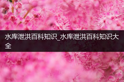 水库泄洪百科知识_水库泄洪百科知识大全