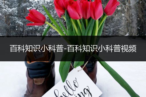 百科知识小科普-百科知识小科普视频