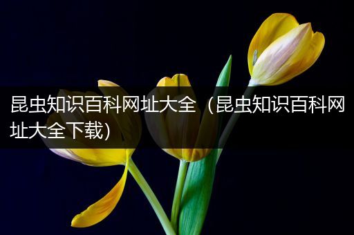 昆虫知识百科网址大全（昆虫知识百科网址大全下载）