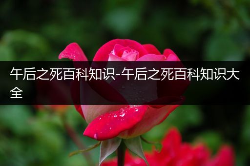 午后之死百科知识-午后之死百科知识大全