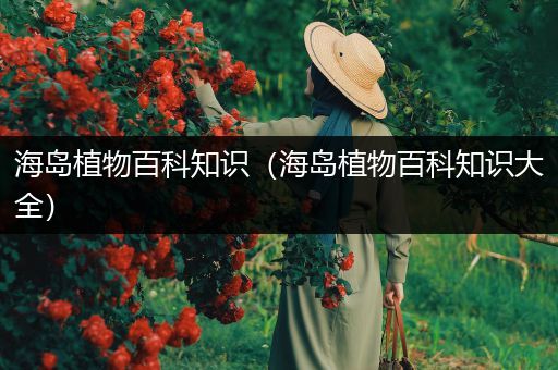 海岛植物百科知识（海岛植物百科知识大全）