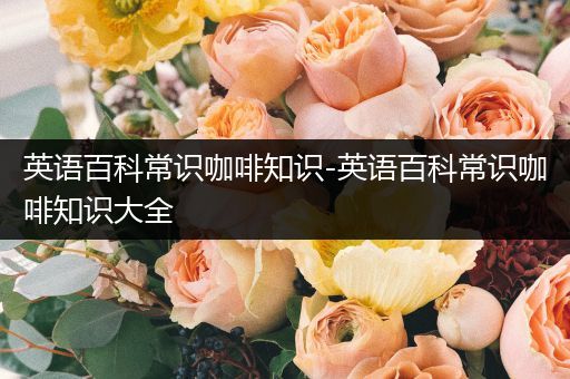 英语百科常识咖啡知识-英语百科常识咖啡知识大全
