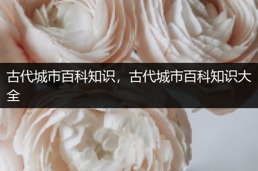 古代城市百科知识，古代城市百科知识大全