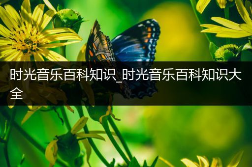 时光音乐百科知识_时光音乐百科知识大全