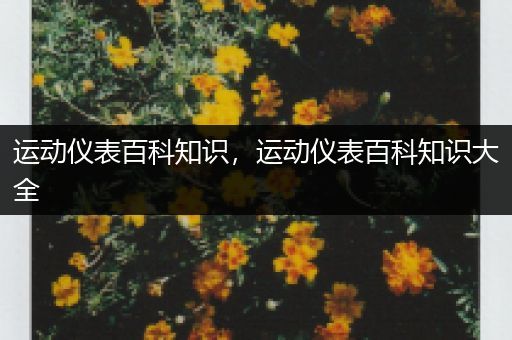 运动仪表百科知识，运动仪表百科知识大全