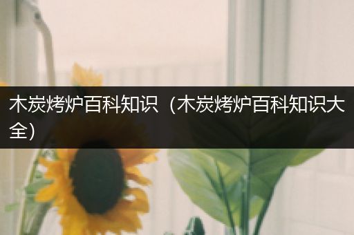 木炭烤炉百科知识（木炭烤炉百科知识大全）