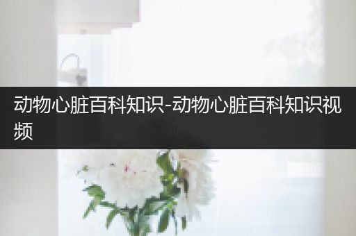 动物心脏百科知识-动物心脏百科知识视频