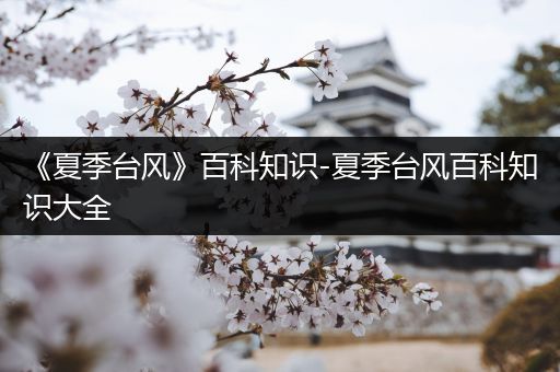 《夏季台风》百科知识-夏季台风百科知识大全