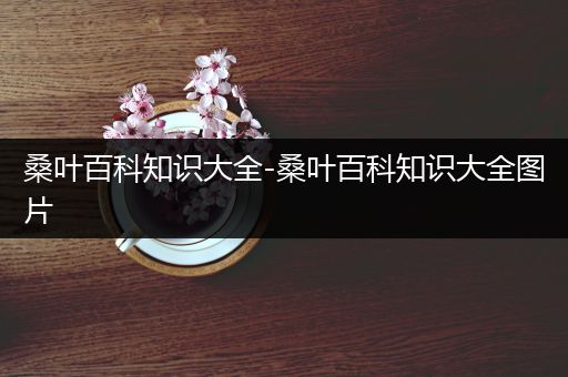 桑叶百科知识大全-桑叶百科知识大全图片