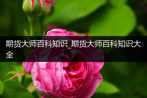 期货大师百科知识_期货大师百科知识大全