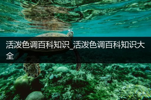 活泼色调百科知识_活泼色调百科知识大全