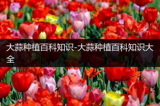 大蒜种植百科知识-大蒜种植百科知识大全