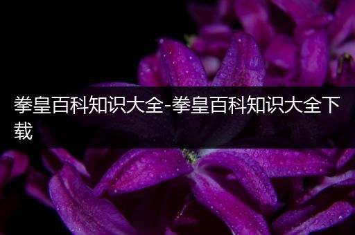拳皇百科知识大全-拳皇百科知识大全下载