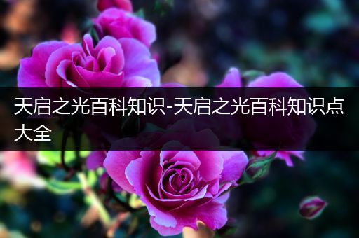 天启之光百科知识-天启之光百科知识点大全