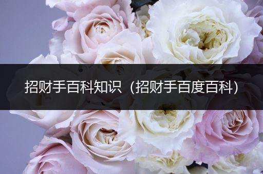 招财手百科知识（招财手百度百科）