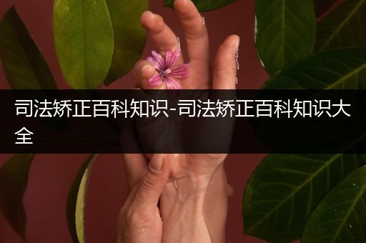 司法矫正百科知识-司法矫正百科知识大全