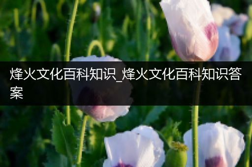 烽火文化百科知识_烽火文化百科知识答案