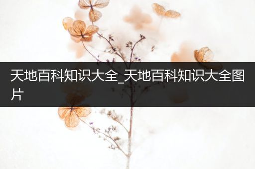 天地百科知识大全_天地百科知识大全图片