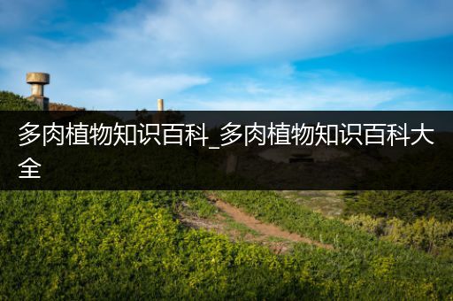 多肉植物知识百科_多肉植物知识百科大全