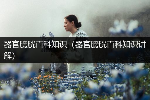器官膀胱百科知识（器官膀胱百科知识讲解）