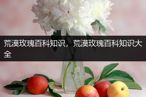 荒漠玫瑰百科知识，荒漠玫瑰百科知识大全