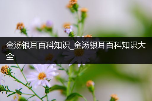 金汤银耳百科知识_金汤银耳百科知识大全