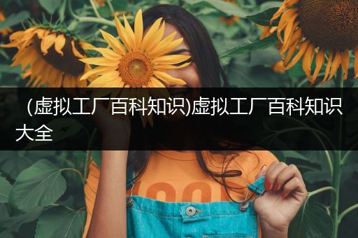 （虚拟工厂百科知识)虚拟工厂百科知识大全
