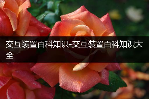 交互装置百科知识-交互装置百科知识大全