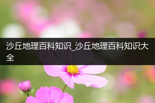 沙丘地理百科知识_沙丘地理百科知识大全