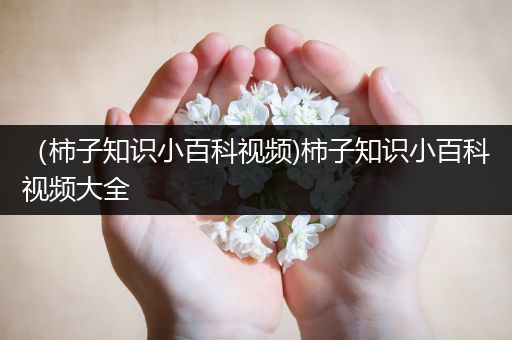 （柿子知识小百科视频)柿子知识小百科视频大全