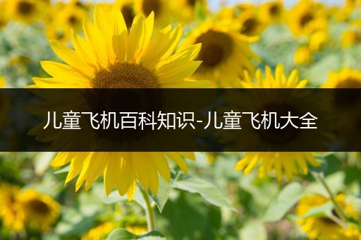 儿童飞机百科知识-儿童飞机大全
