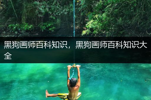 黑狗画师百科知识，黑狗画师百科知识大全